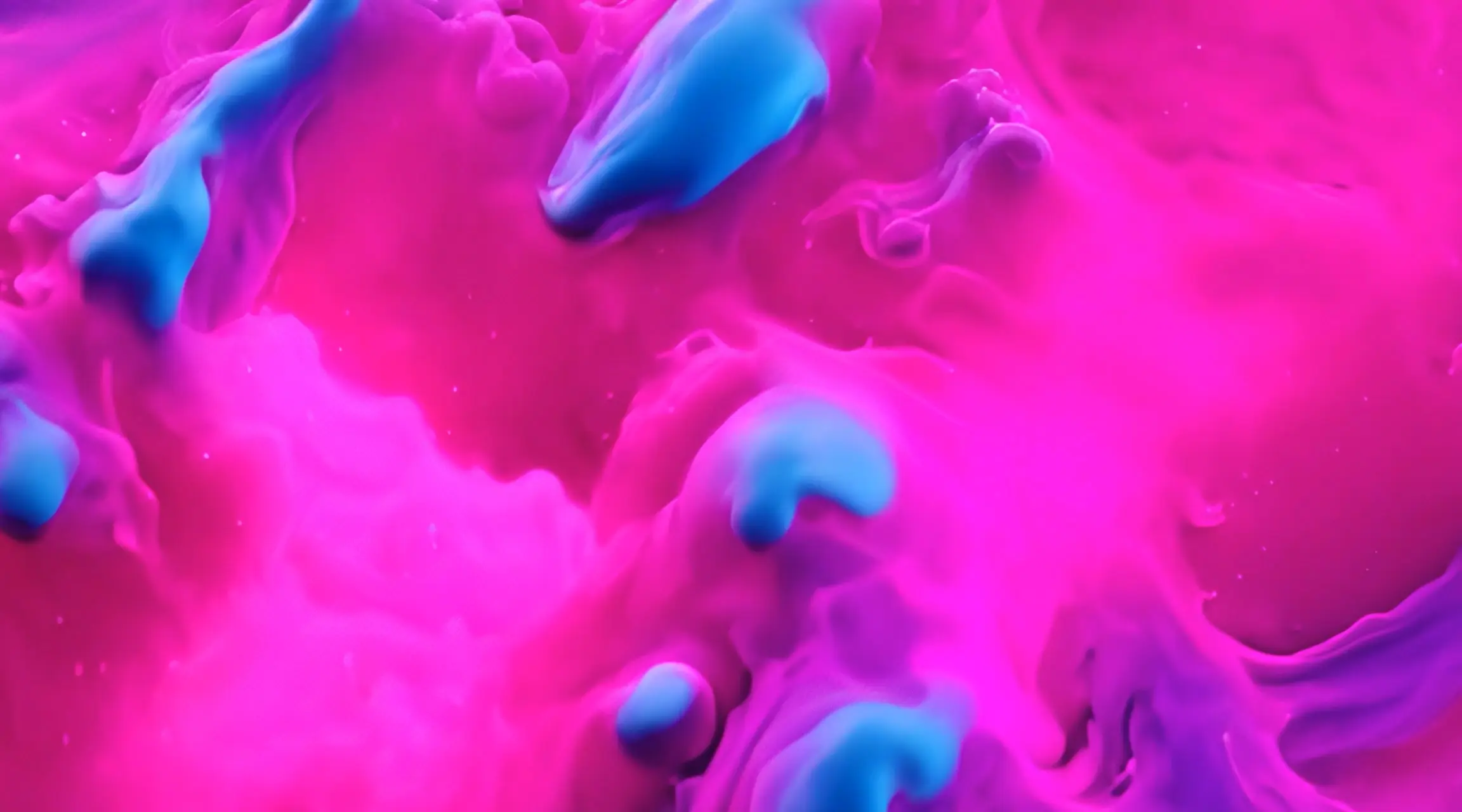 Electric Pink Waves with Blue Accents Captivating Video Clip